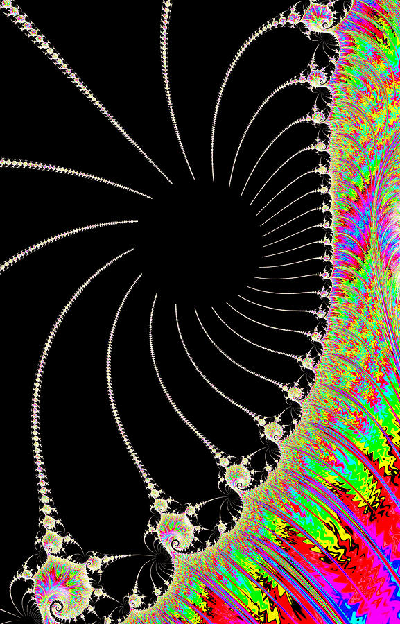Spider Spectrum Digital Art by Vickie Fiveash