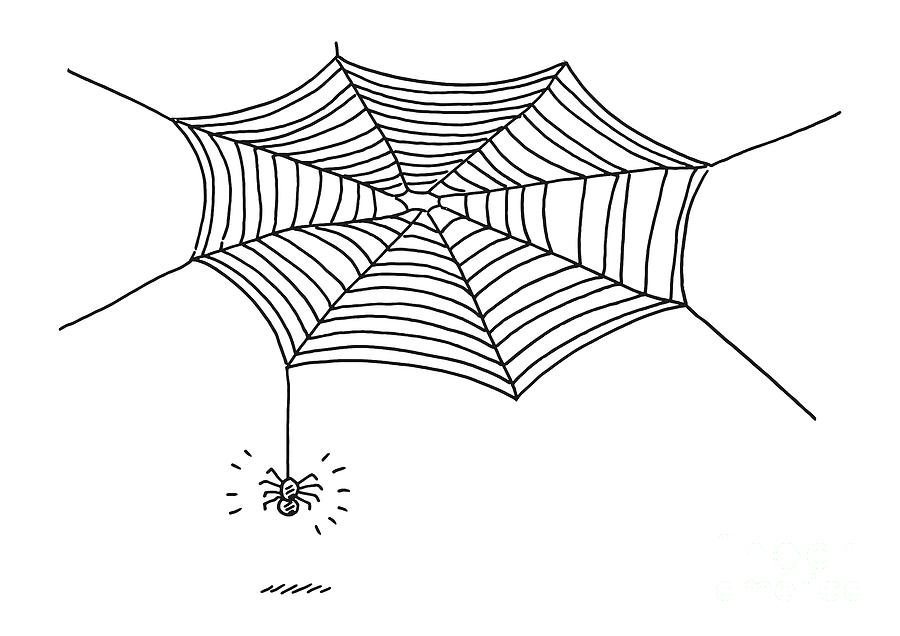 Spider Web Cartoon Drawing Drawing by Frank Ramspott - Fine Art America