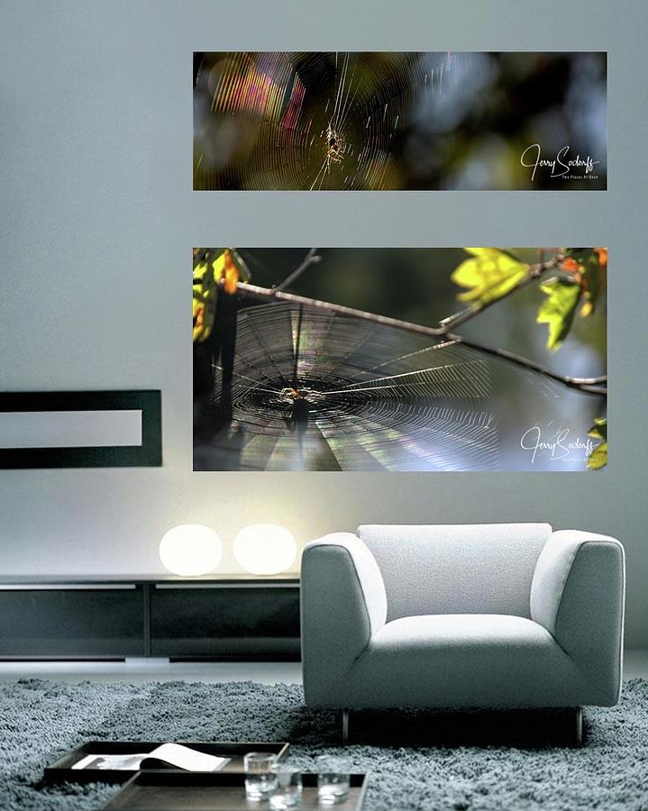 Spider Web Hanging Print Example Photograph by Jerry Sodorff
