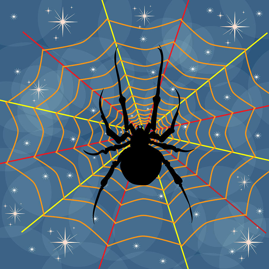 Spider web Digital Art by Kim Prowse