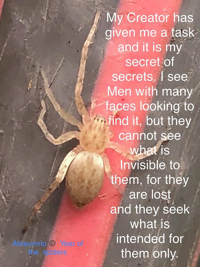 Spiders Year Mixed Media by M Abreumrio Pixels