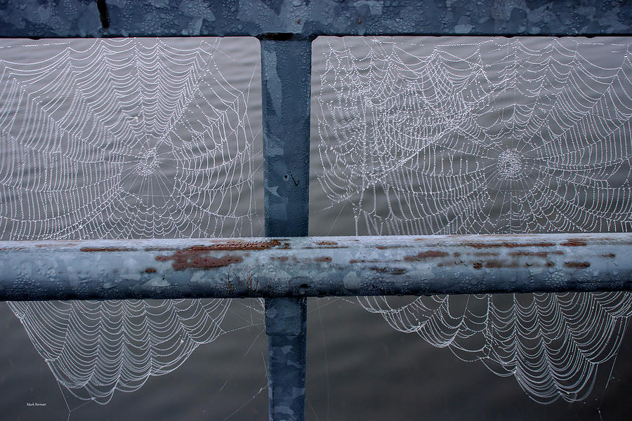 Spiderwebs on Dock Photograph by Mark Berman