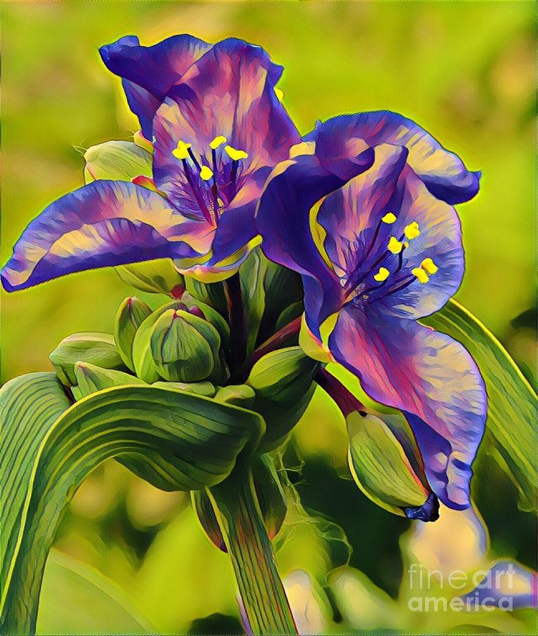 Spiderwort Painting by Marilyn Smith