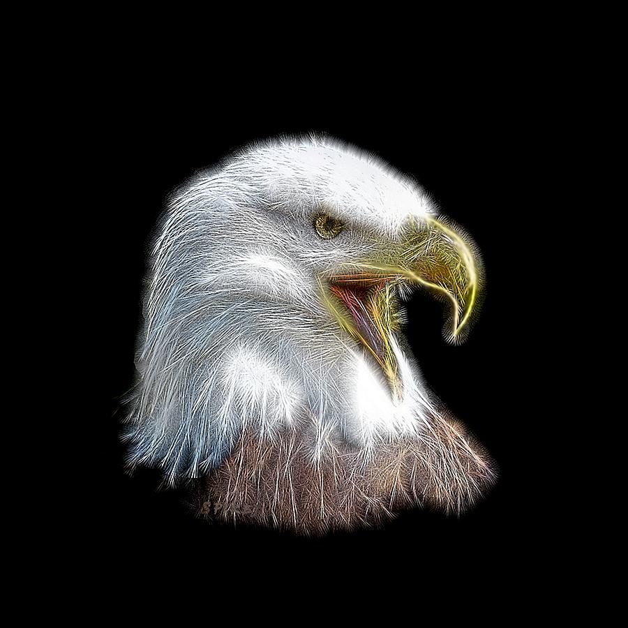 Nature Digital Art - Spiked Bald Eagle by Patricia Keith