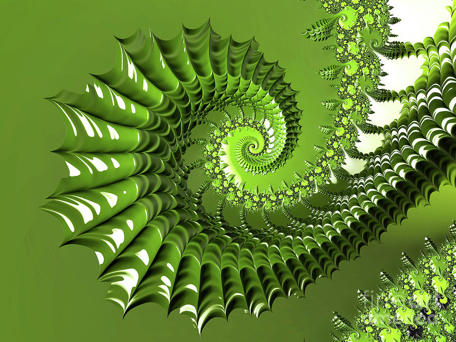 Spiky Forest Spiral Digital Art by Elisabeth Lucas - Fine Art America