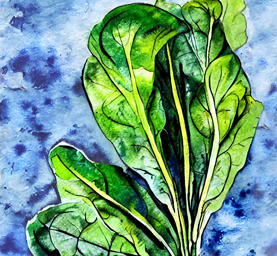 Spinach Stalk Watercolor Painting by Sandi OReilly