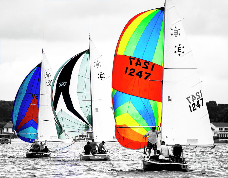 Barnegat Bay Photograph - Spinnakers flying, in black and white and color. by Frank Parisi