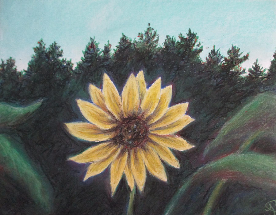 Spinning Flower Sun Painting by Jen Shearer