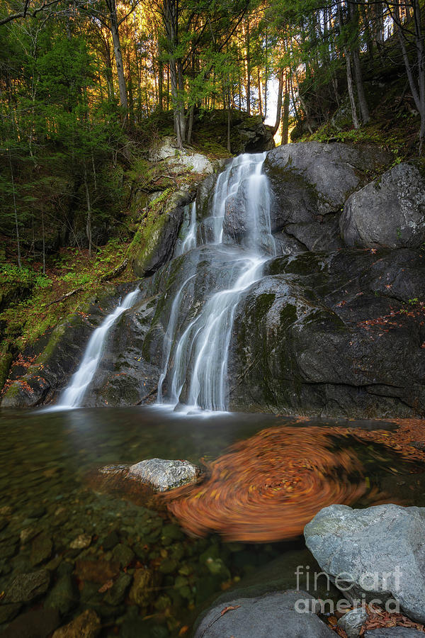Spinning Leaves At Moss Glen Falls Photograph