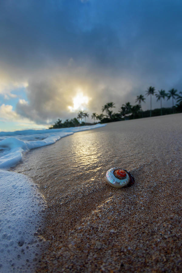 Spinning Top Sunrise Photograph by Sean Davey