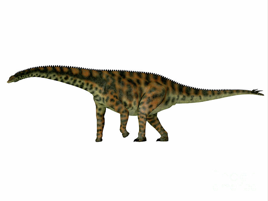 spinophorosaurus