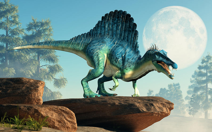Spinosaurus And Full Moon Digital Art
