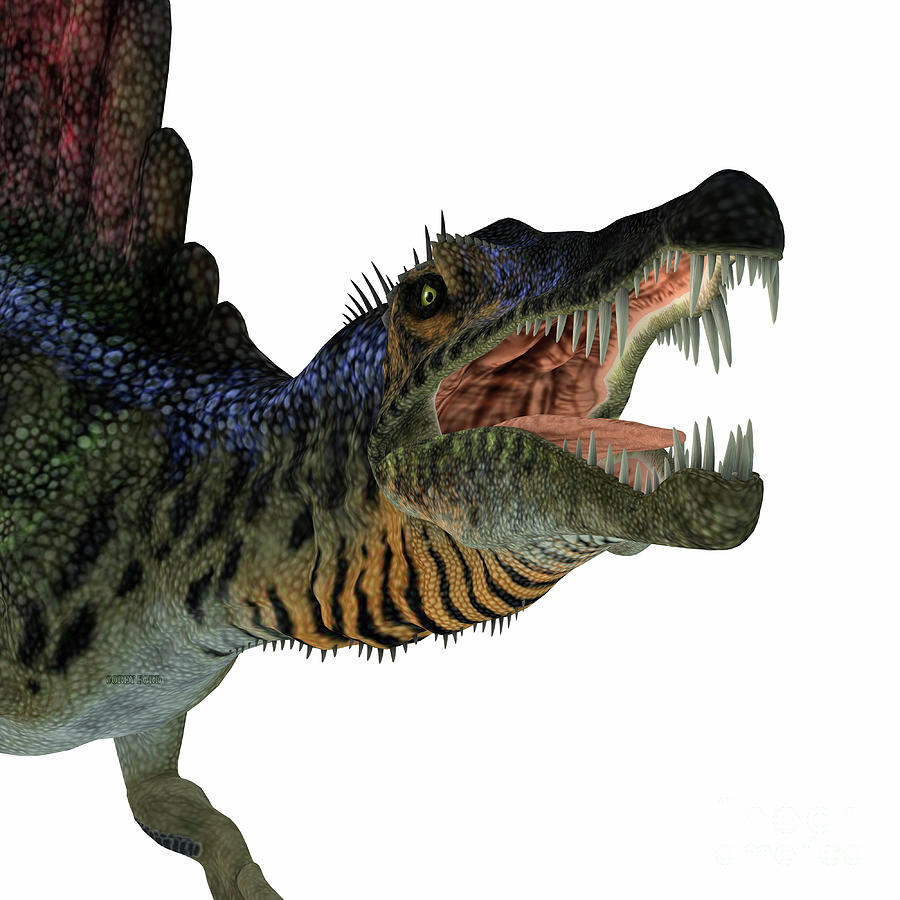 Spinosaurus Dinosaur Head Digital Art by Corey Ford
