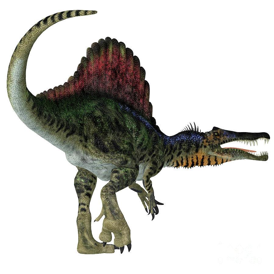 Spinosaurus Dinosaur Tail Digital Art by Corey Ford