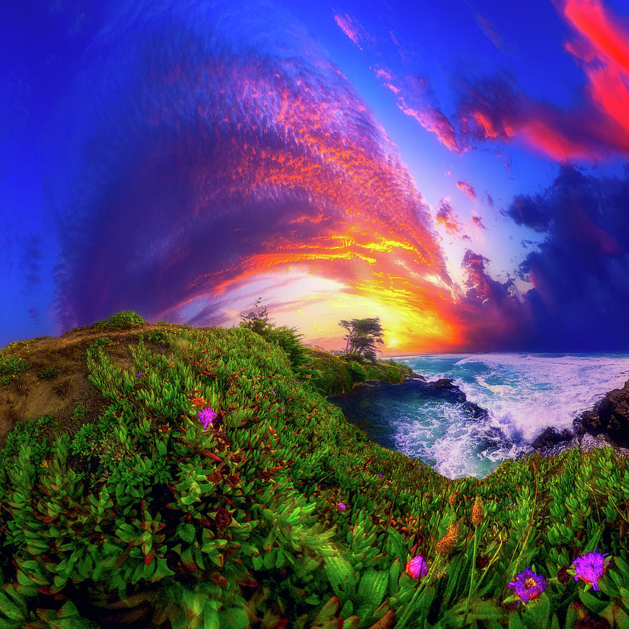 Spiral Blue Purple Green Flowering Sunset Photograph by Eszra Tanner