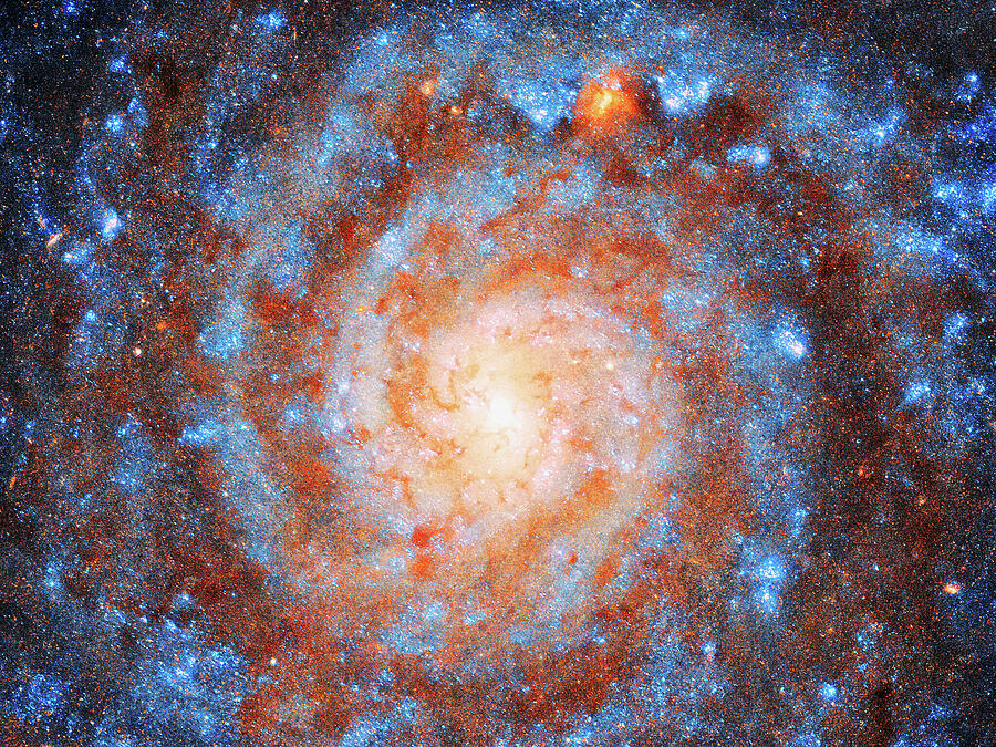 Interstellar Photograph -  Spiral galaxy IC 5332 by Mango Art