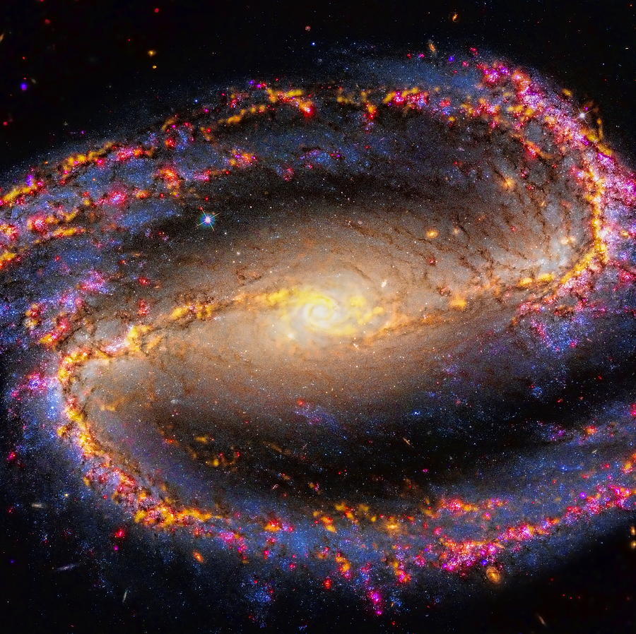 Spiral Galaxy NGC 1300 Photograph by Dale Kauzlaric