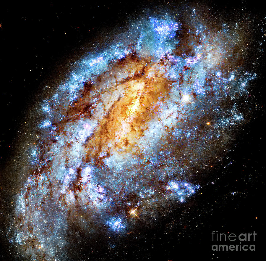 Spiral Galaxy NGC 1559 in Southern Constellation Recticulum Photograph by M G Whittingham