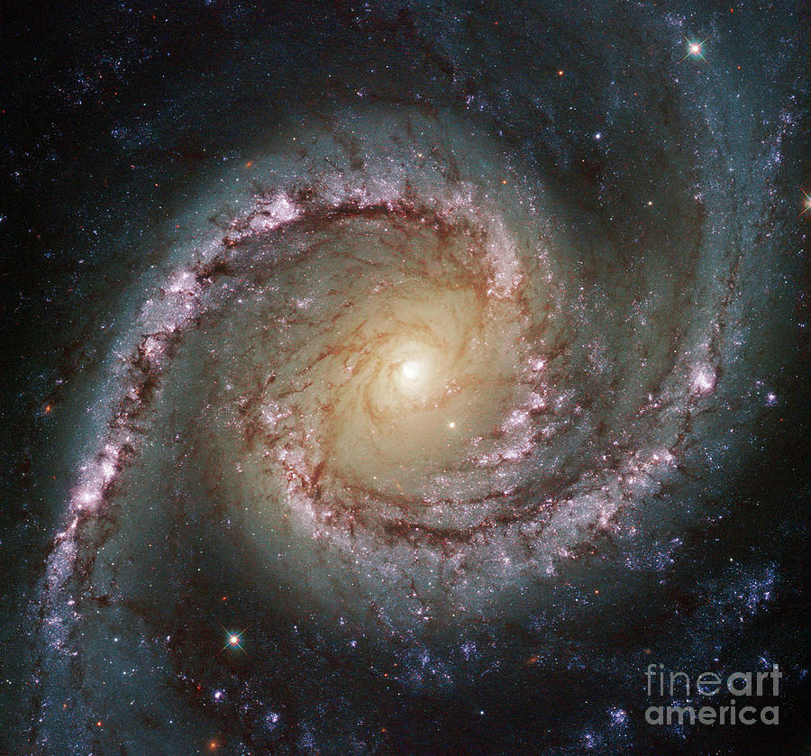 Spiral 2024 galaxy nasa