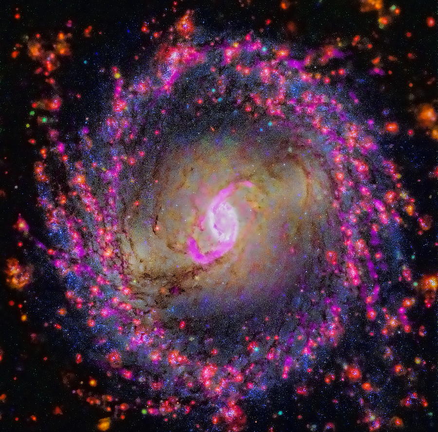 Spiral Galaxy NGC 3351 Photograph by Dale Kauzlaric