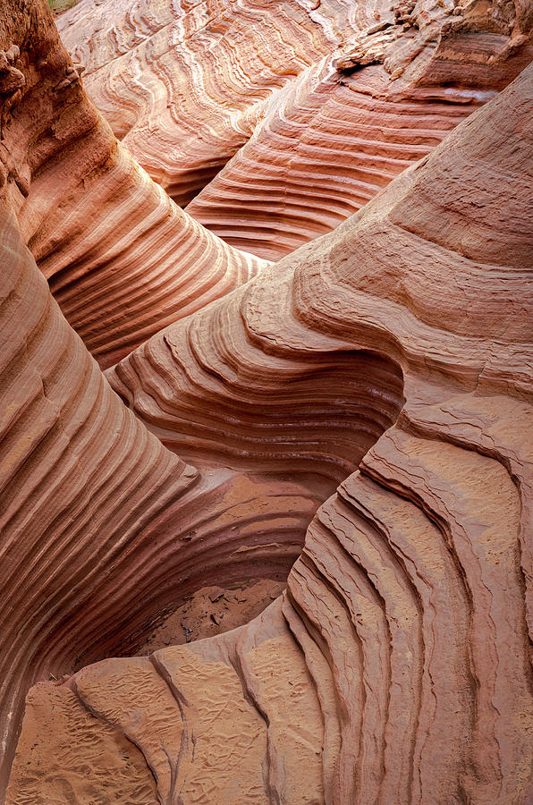 Spiral Ham in a Canyon Photograph by Laura Hedien