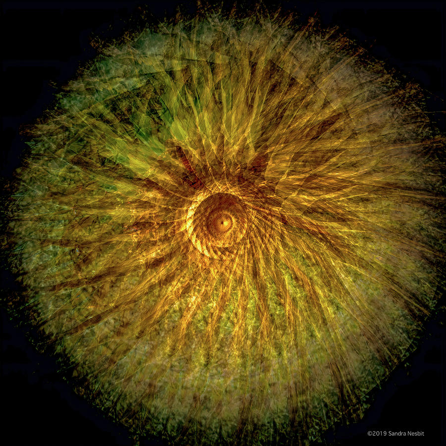 Spiral Mandala Golden Sun Digital Art by Sandra Nesbit
