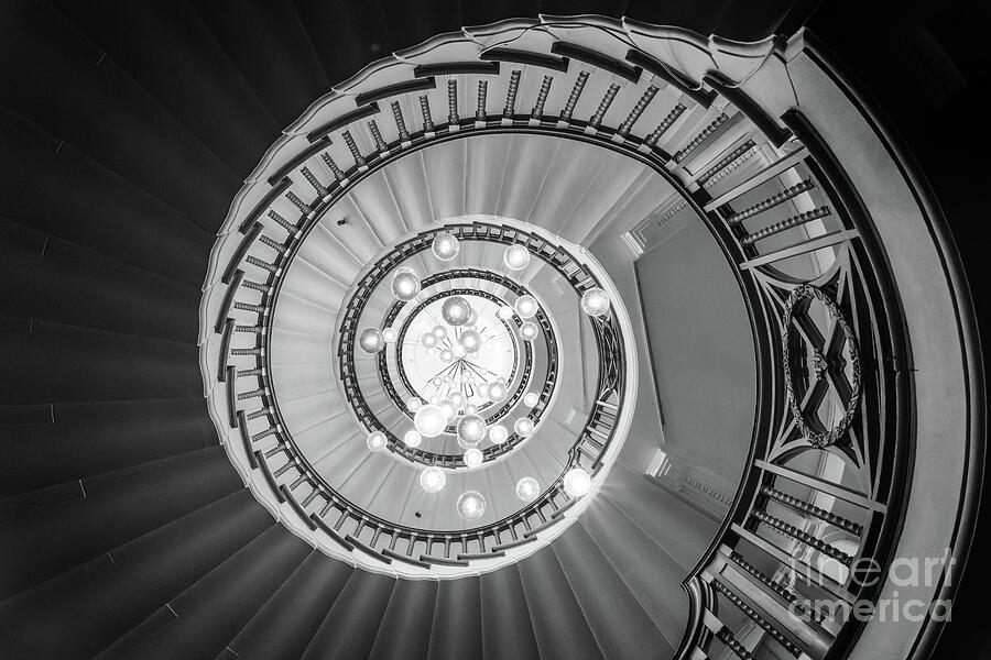 Spiral staicase at Heals, London Photograph by Delphimages London Photography