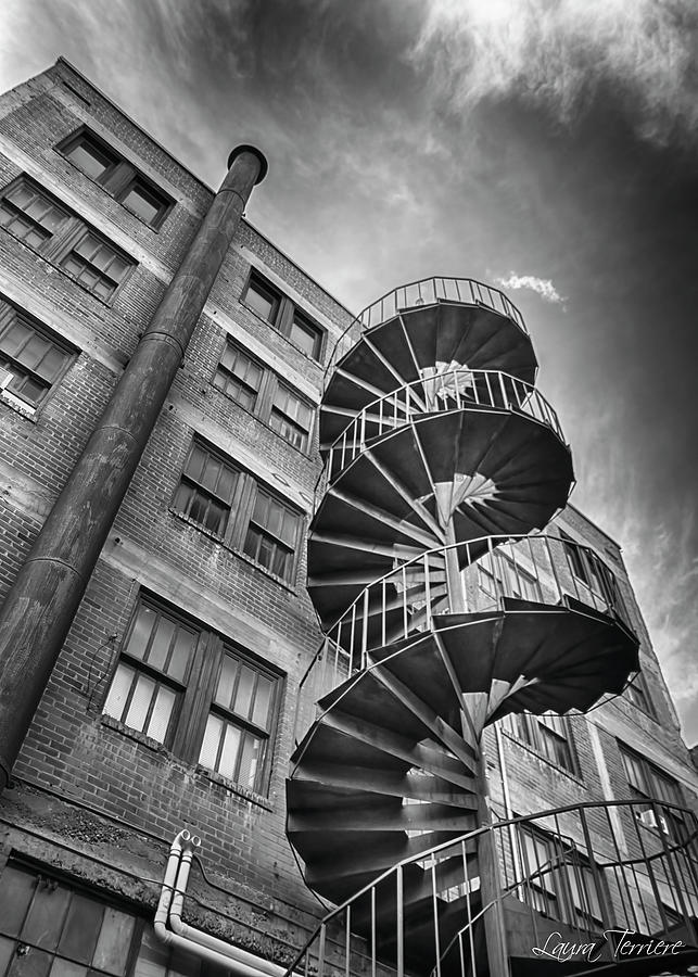 Spiral Staircase Photograph by Laura Terriere