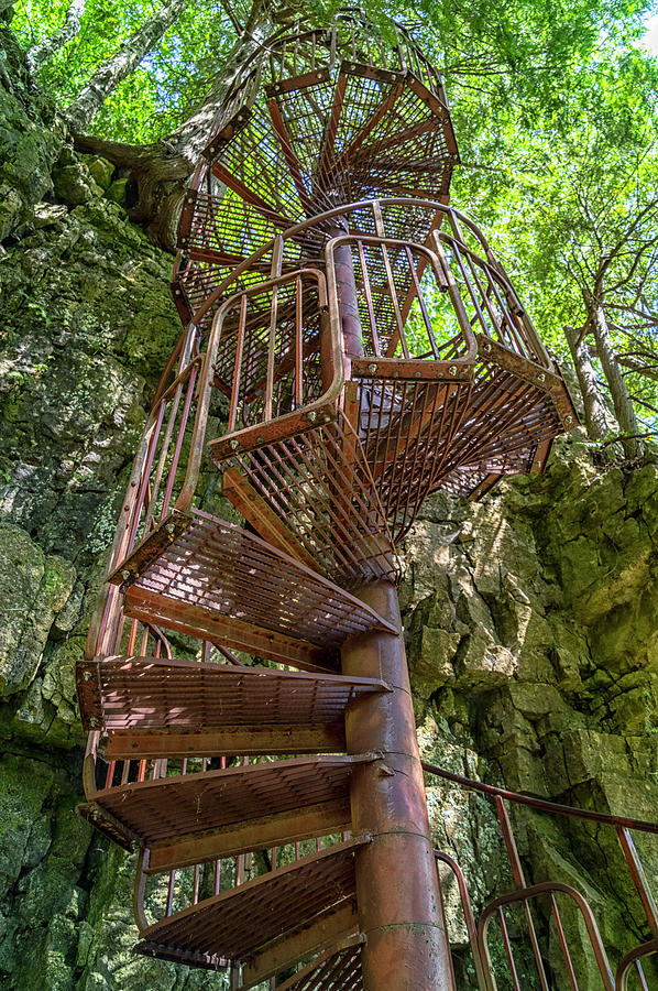 Tree Photograph - Spiral Staircase on the Bruce Trail by Dave by Photography By Phos3 Kathryn Parent and Dave Paddick