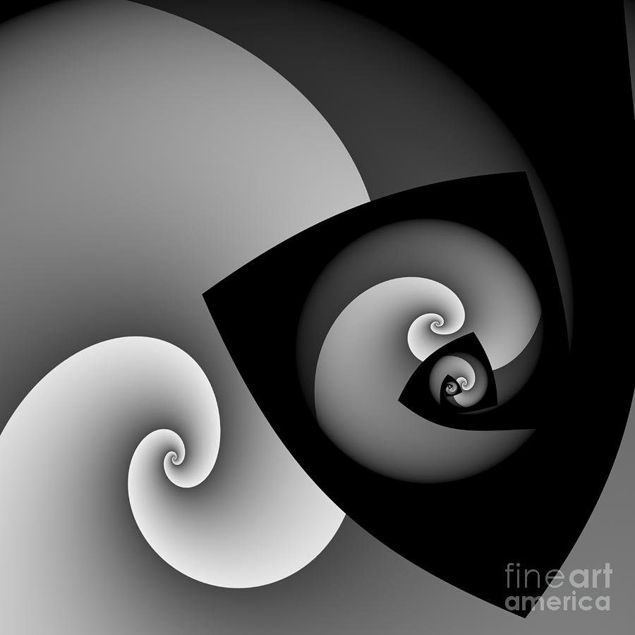 Spirals And Curves - Monochrome 2 Digital Art by Philip Preston