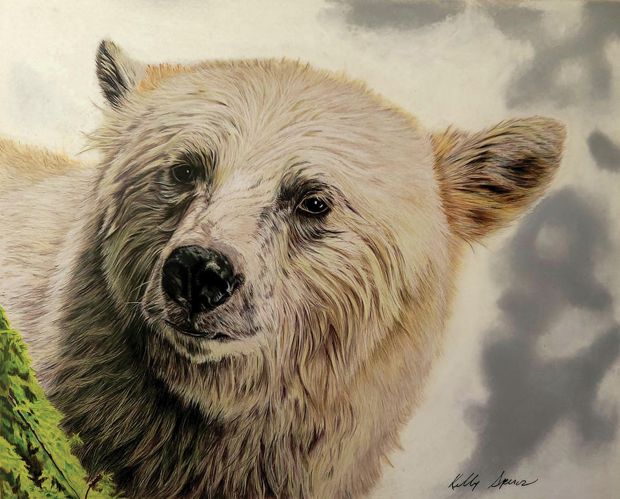 Spirit Bear Drawing by Kelly Speros