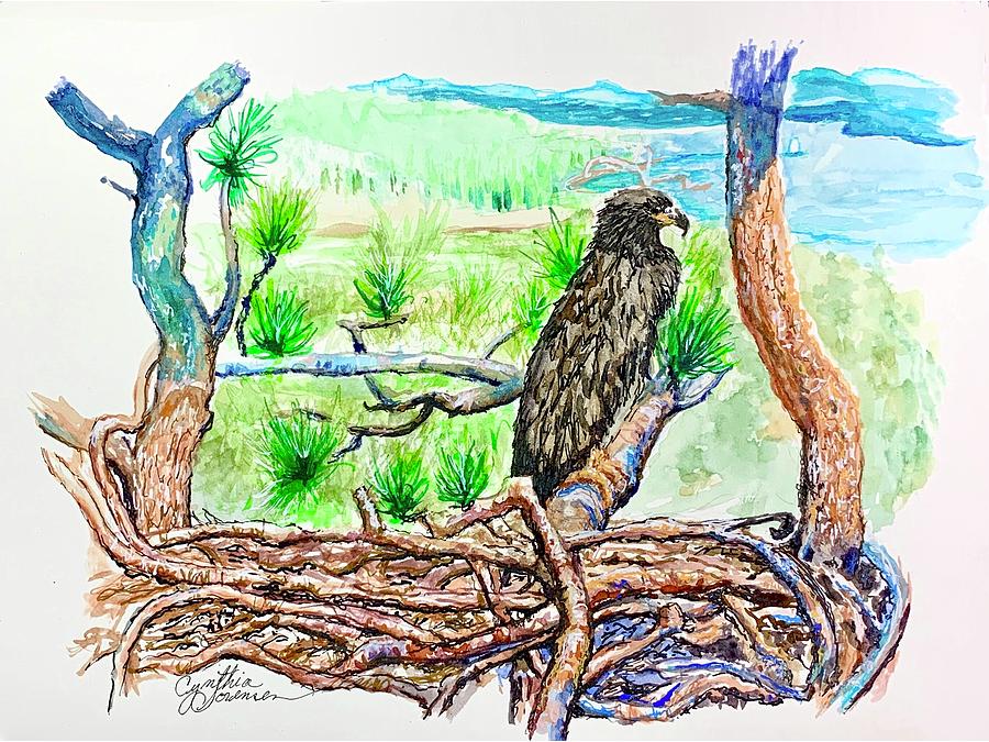 Spirit - Big Bear Lake Eaglet Painting by Cynthia Sorensen