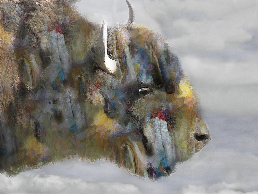Spirit Buffalo in a Painted Sky Photograph by Wayne King
