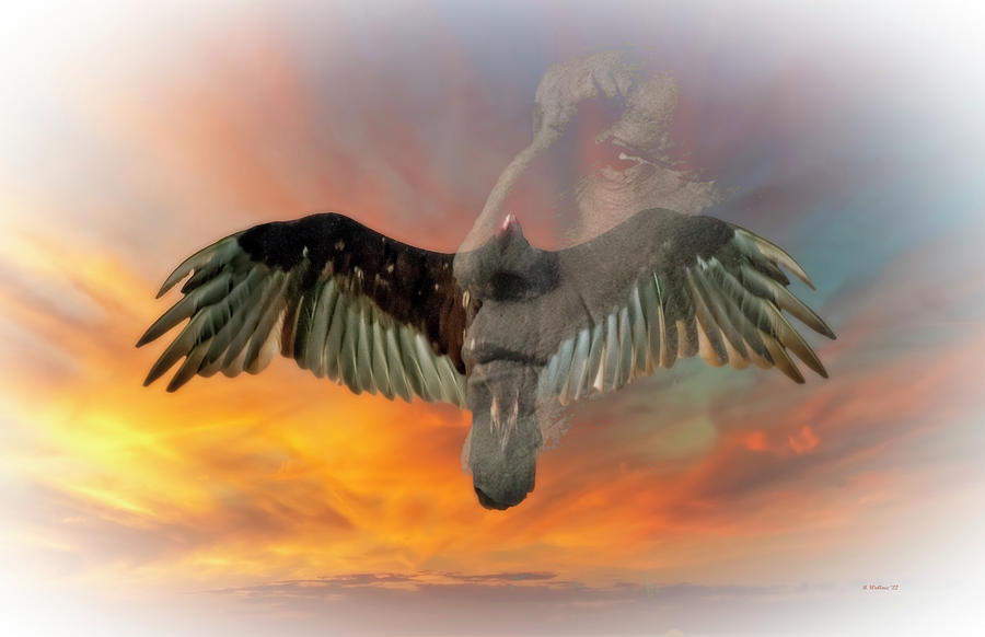Sunset Digital Art - Spirit Flight by Brian Wallace