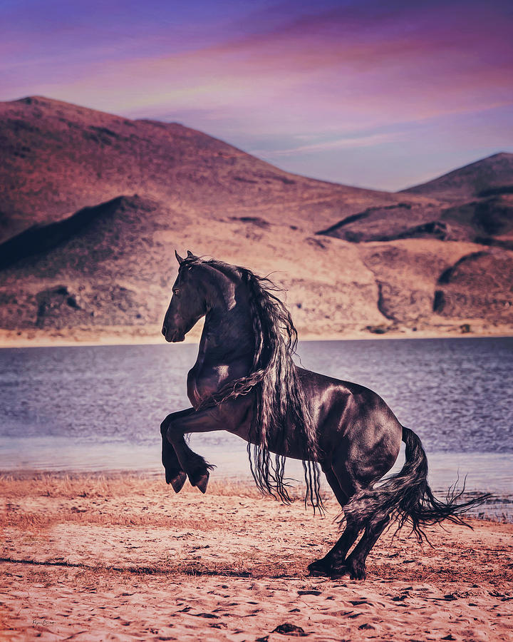 Sunset Photograph - Spirit Horse by Phyllis Burchett