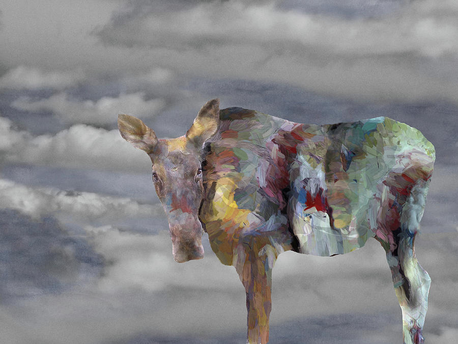 Spirit Moose in a Painted Sky Photograph by Wayne King