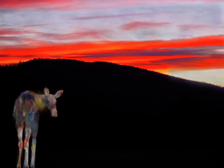 Spirit Moose in a Stinson Mountain Sunset Photograph by Wayne King