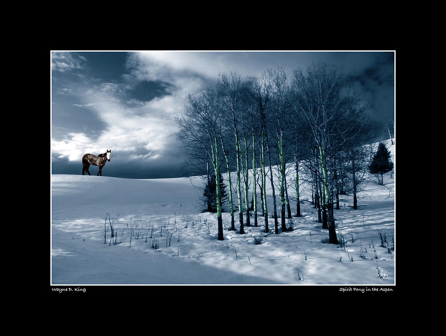 Spirit Pony in Aspen Poster Photograph by Wayne King