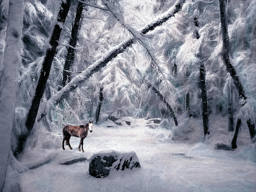 Spirit Pony in Smarts Brook Snow Photograph by Wayne King
