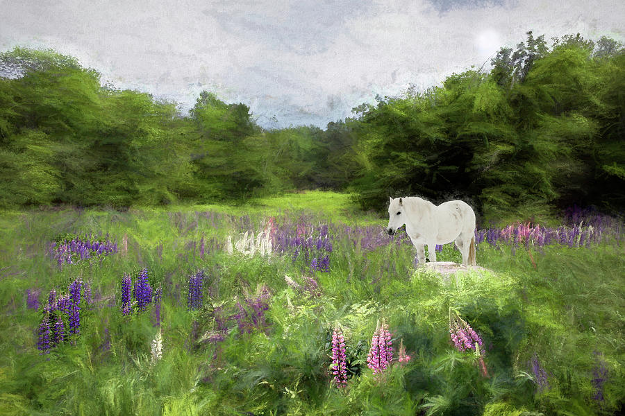 Spirit Pony in the Lupine Photograph by Wayne King