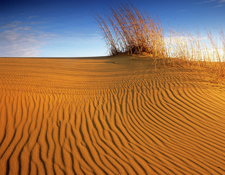 Spirit Sands Photograph by Dave Reede