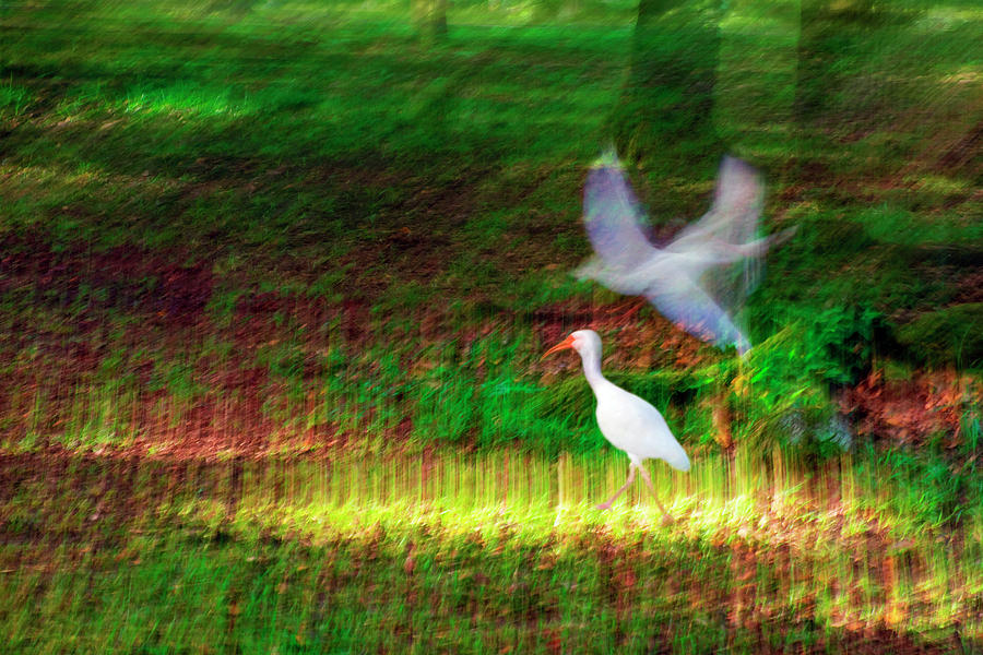 Spirit Photograph by Thomas Schneider Spirit Photograph by Thomas Schneider
