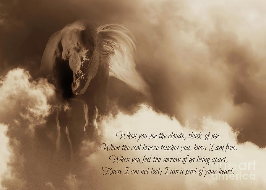 Spiritual Horse Sympathy Poem, Metaphysical Transition Photograph by Stephanie Laird