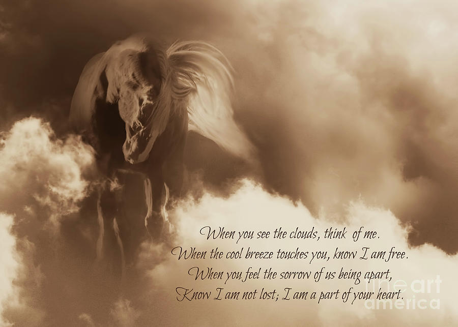Spiritual Horse Sympathy Poem, Spiritual Metaphysical Grief, Grieving Photograph by Stephanie Laird