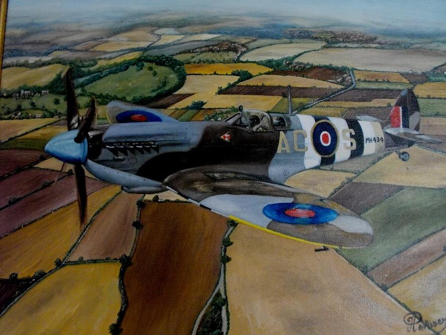 Spitfire Painting by HH Palliser