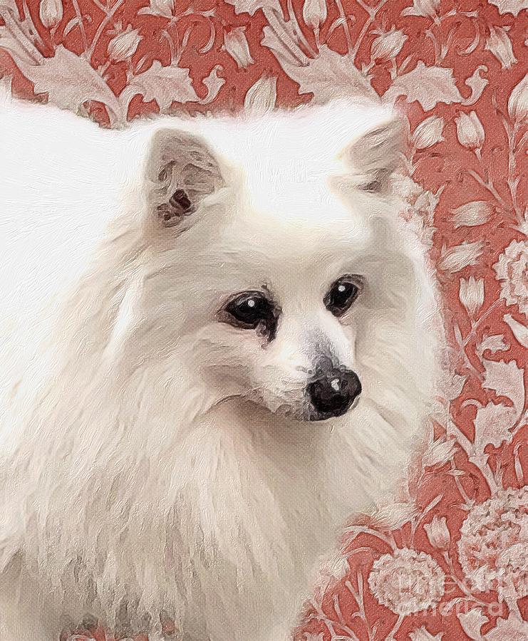 Portrait Digital Art - Spitz Dog by Zelda Tessadori