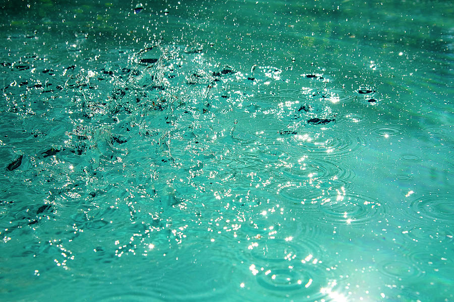 Splash Photograph