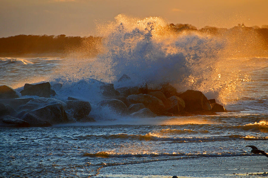 Splash of Gold - Corporation Beach Photograph by Dianne Cowen Cape Cod Photography