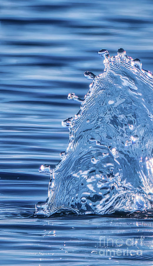 Splashing Water Impression Photograph by Charline Xia