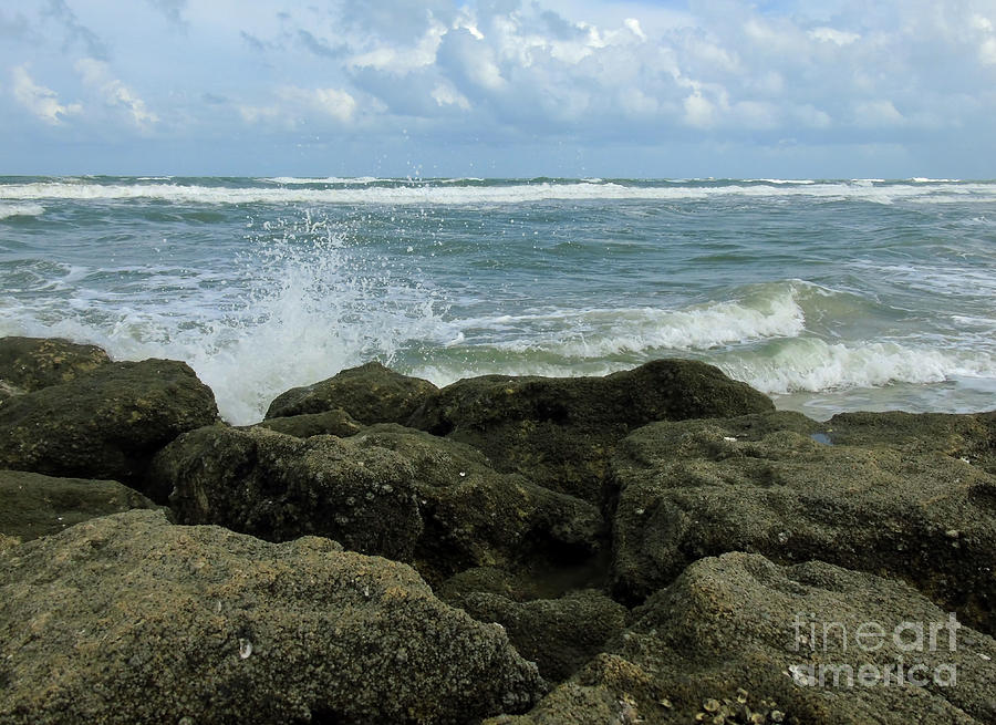 Splashing Waves On The Coquina Photograph by D Hackett